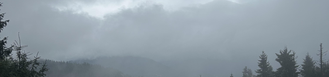 Cover photo