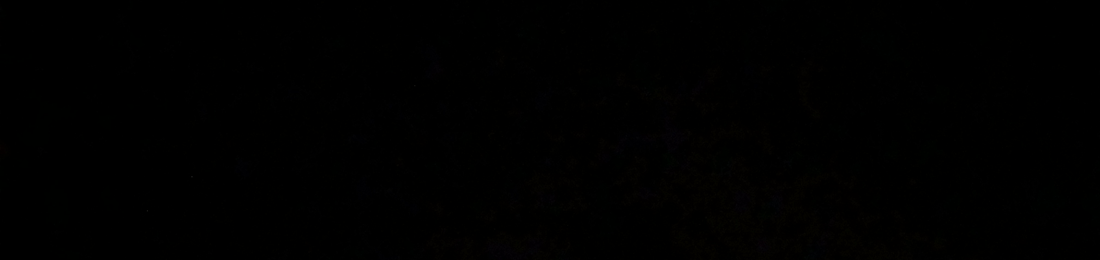 Cover photo