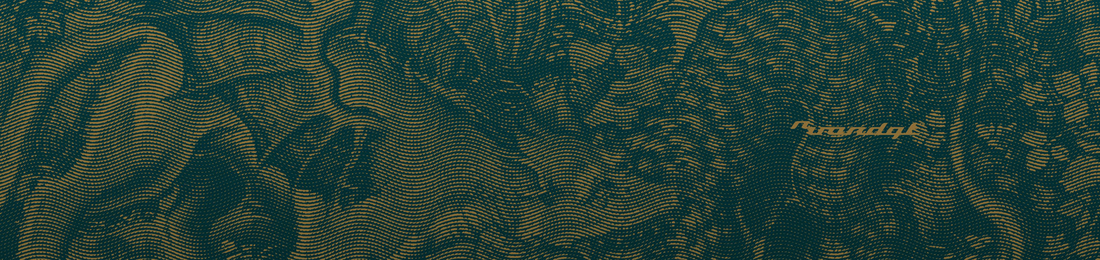 Cover photo
