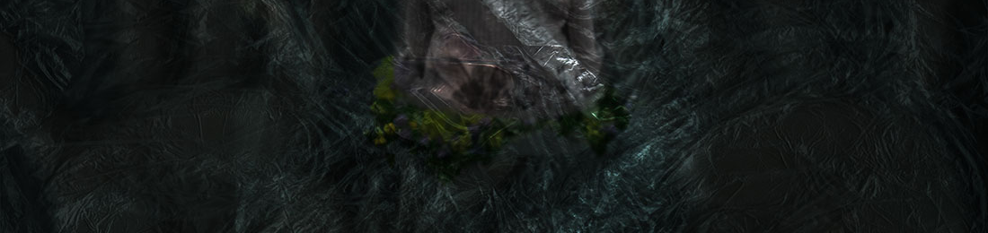 Cover photo