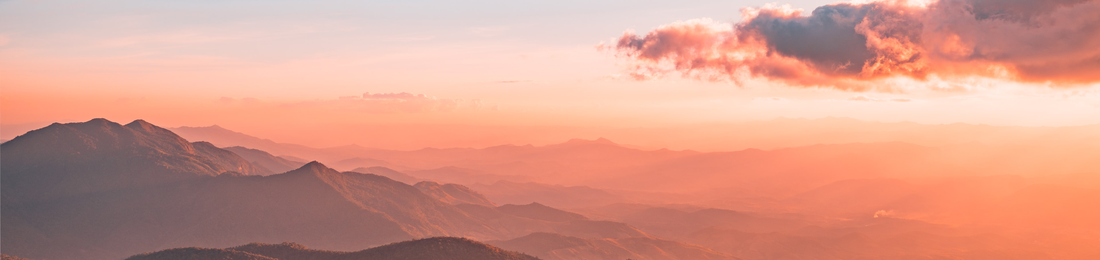 Cover photo