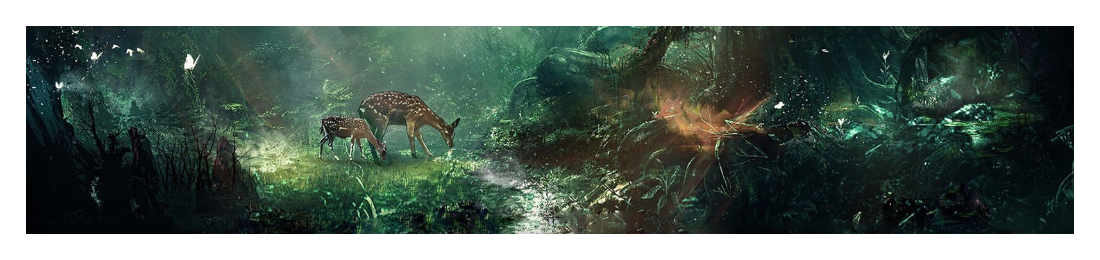 Cover photo