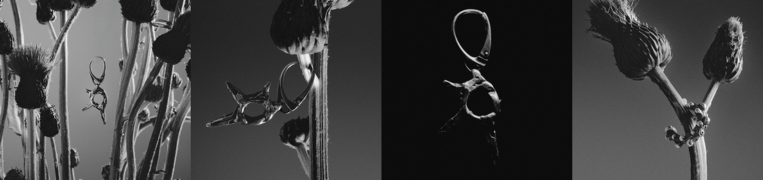 Cover photo