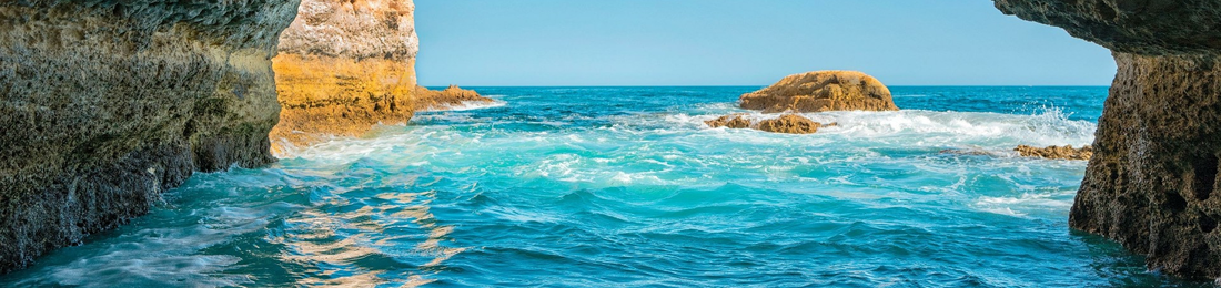 Cover photo