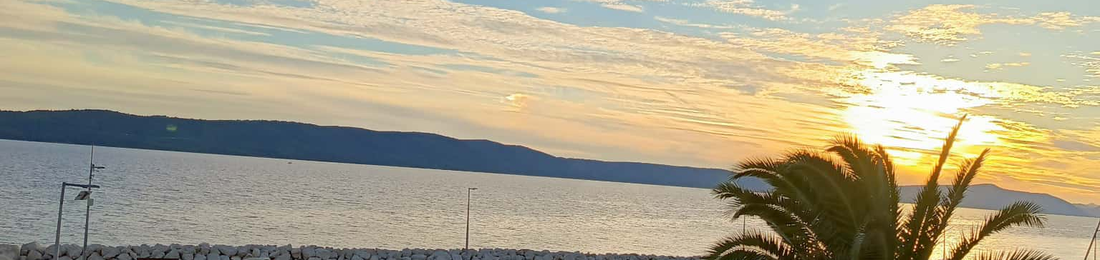 Cover photo