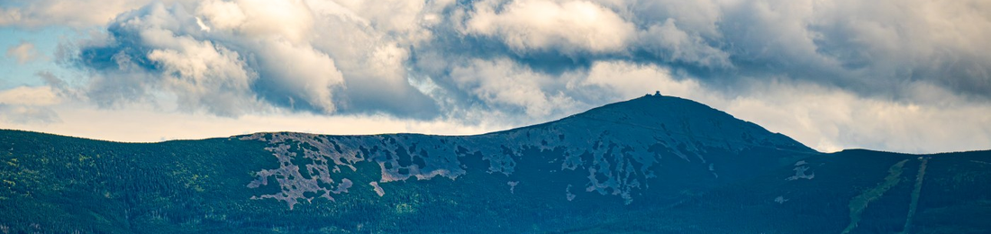 Cover photo