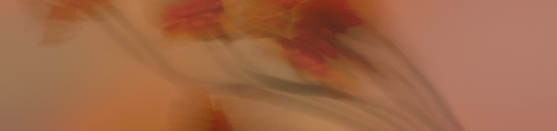 Cover photo