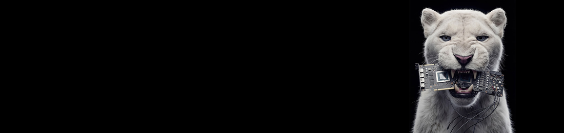 Cover photo