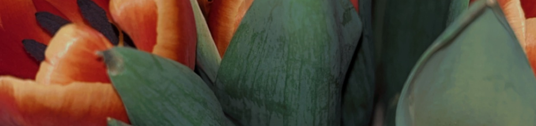 Cover photo