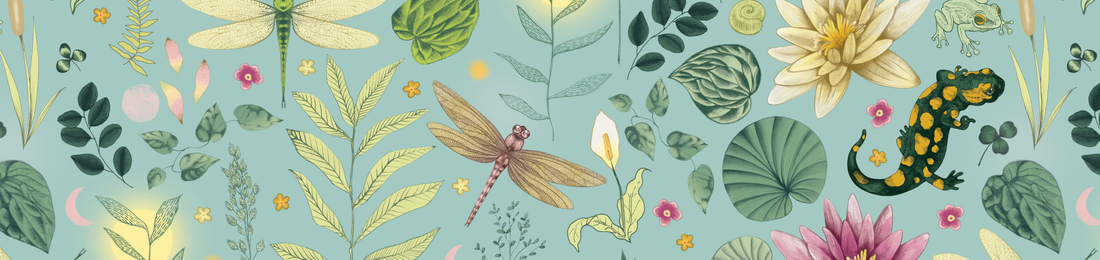 Cover photo