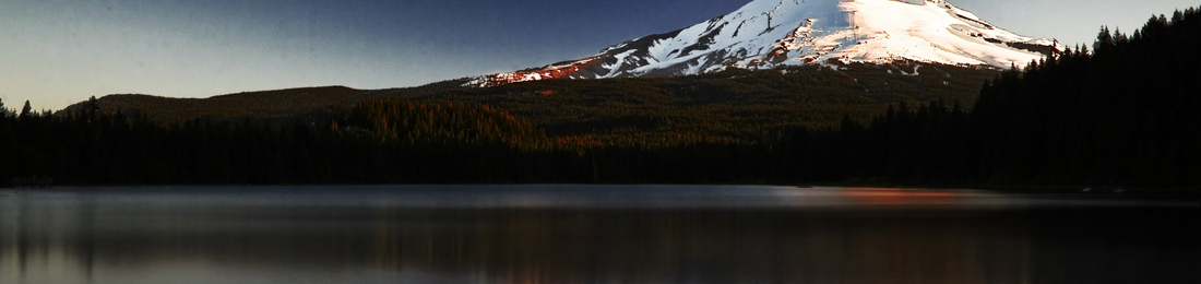 Cover photo