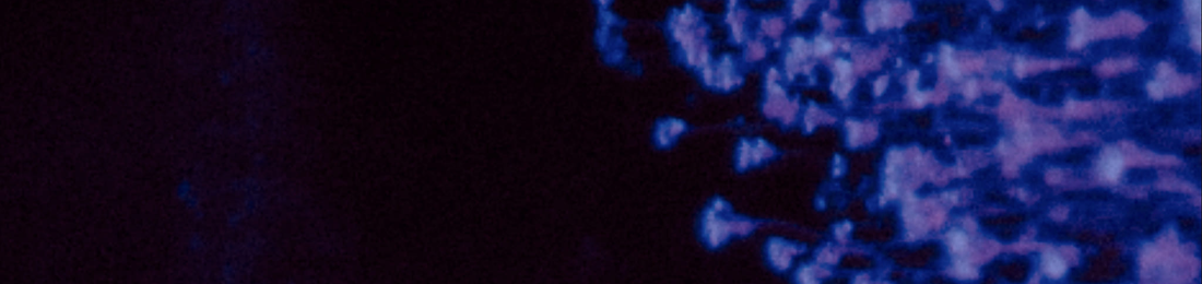 Cover photo