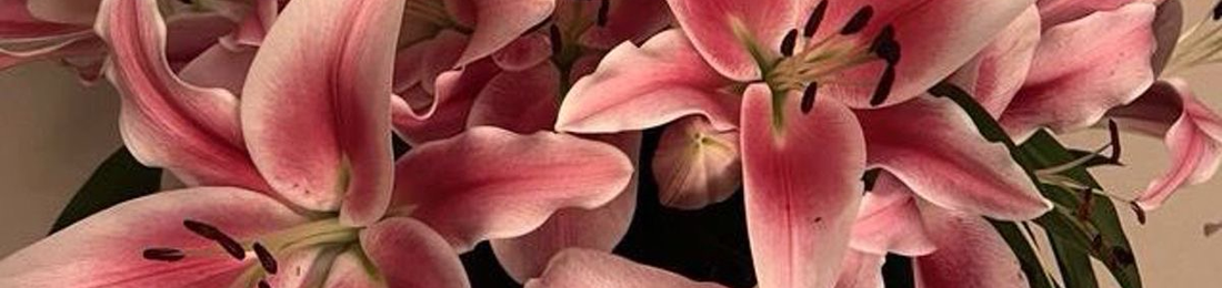 Cover photo