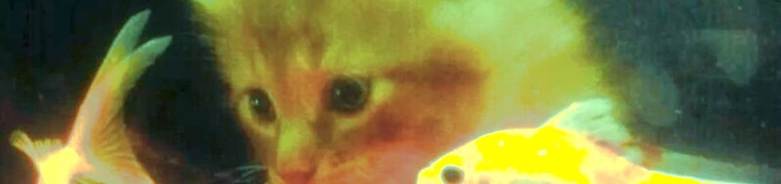 Cover photo