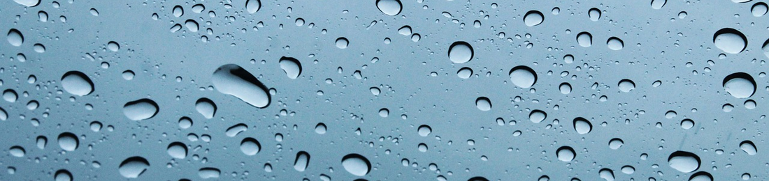 Cover photo