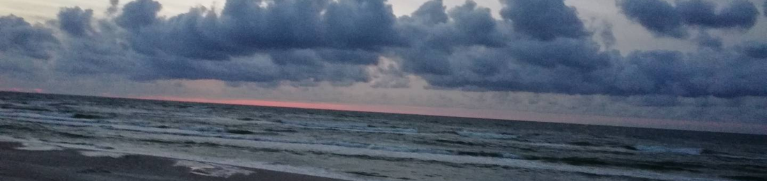 Cover photo