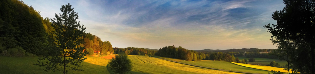 Cover photo