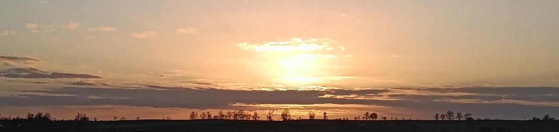 Cover photo
