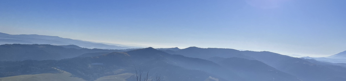 Cover photo