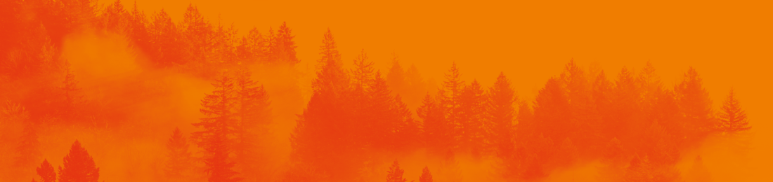Cover photo
