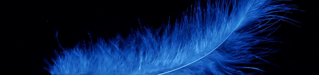 Cover photo
