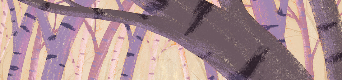 Cover photo