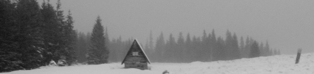Cover photo