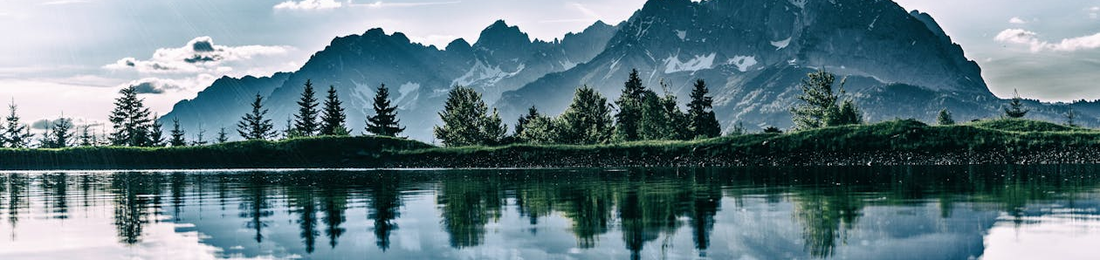 Cover photo