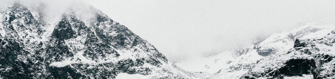 Cover photo