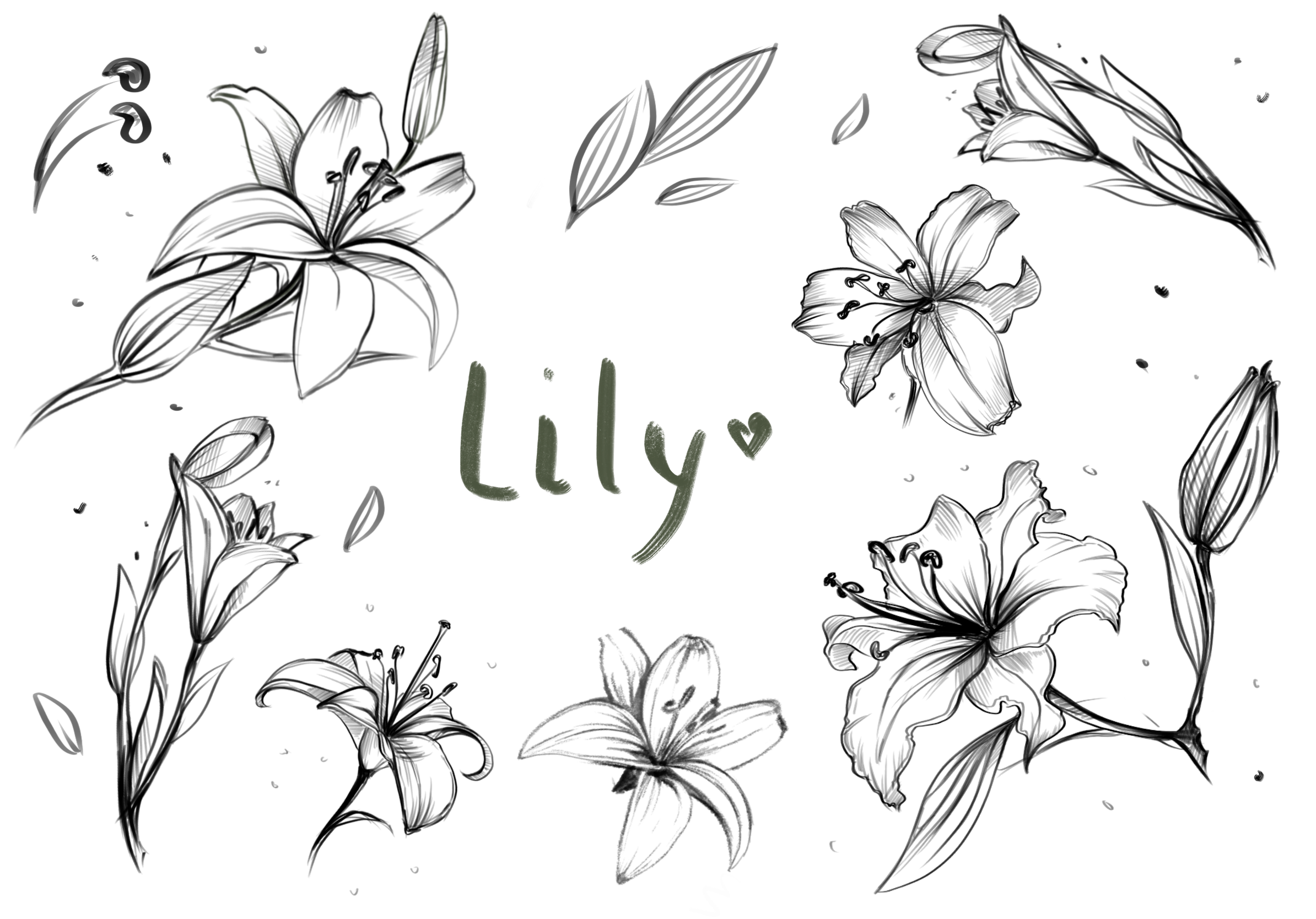 Portfolio item