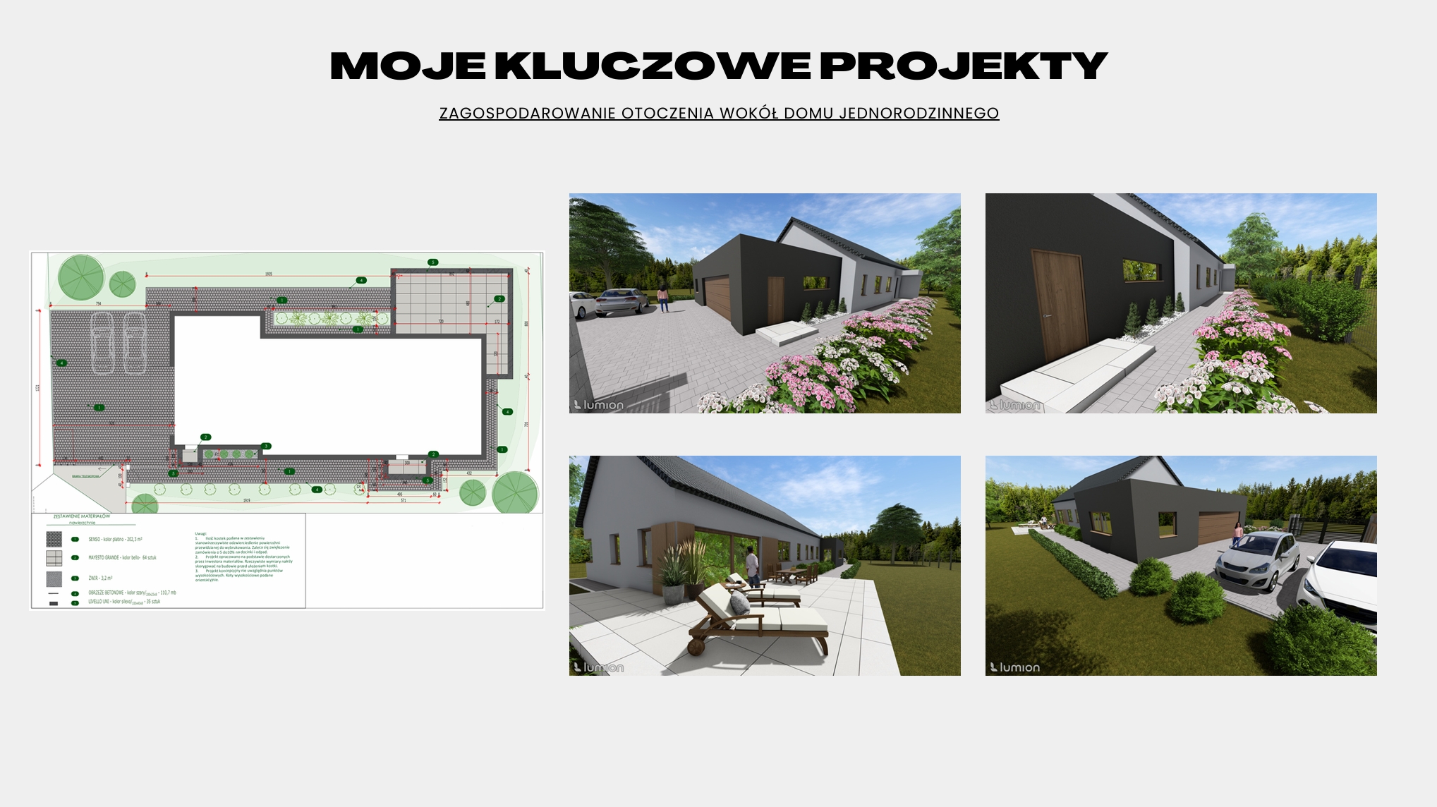 Portfolio item