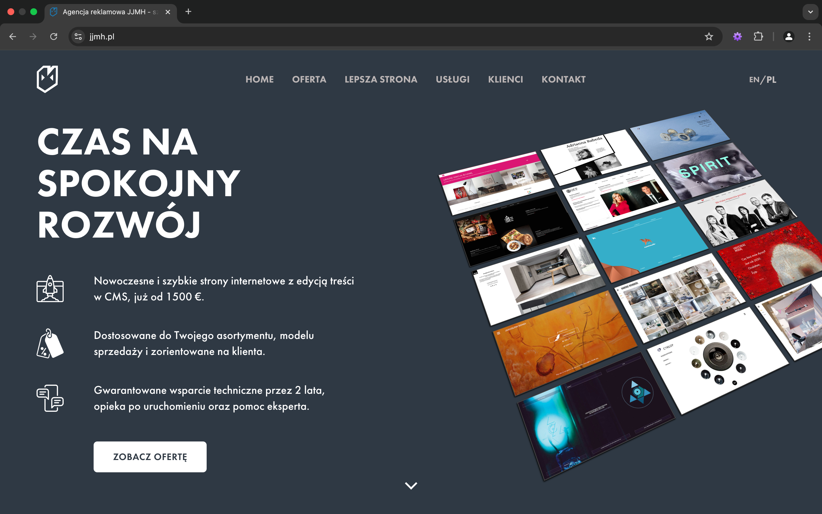 Portfolio item