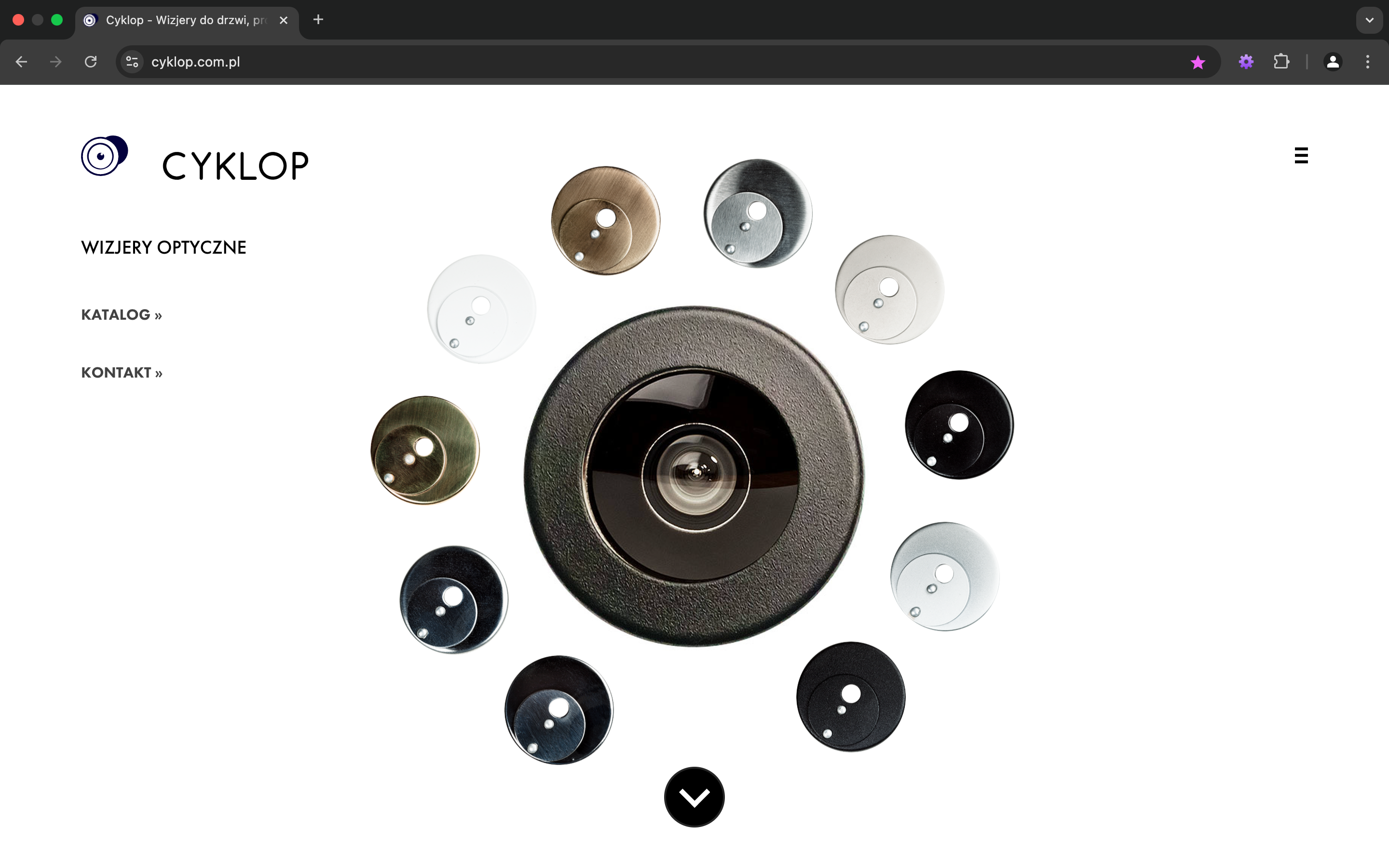 Portfolio item