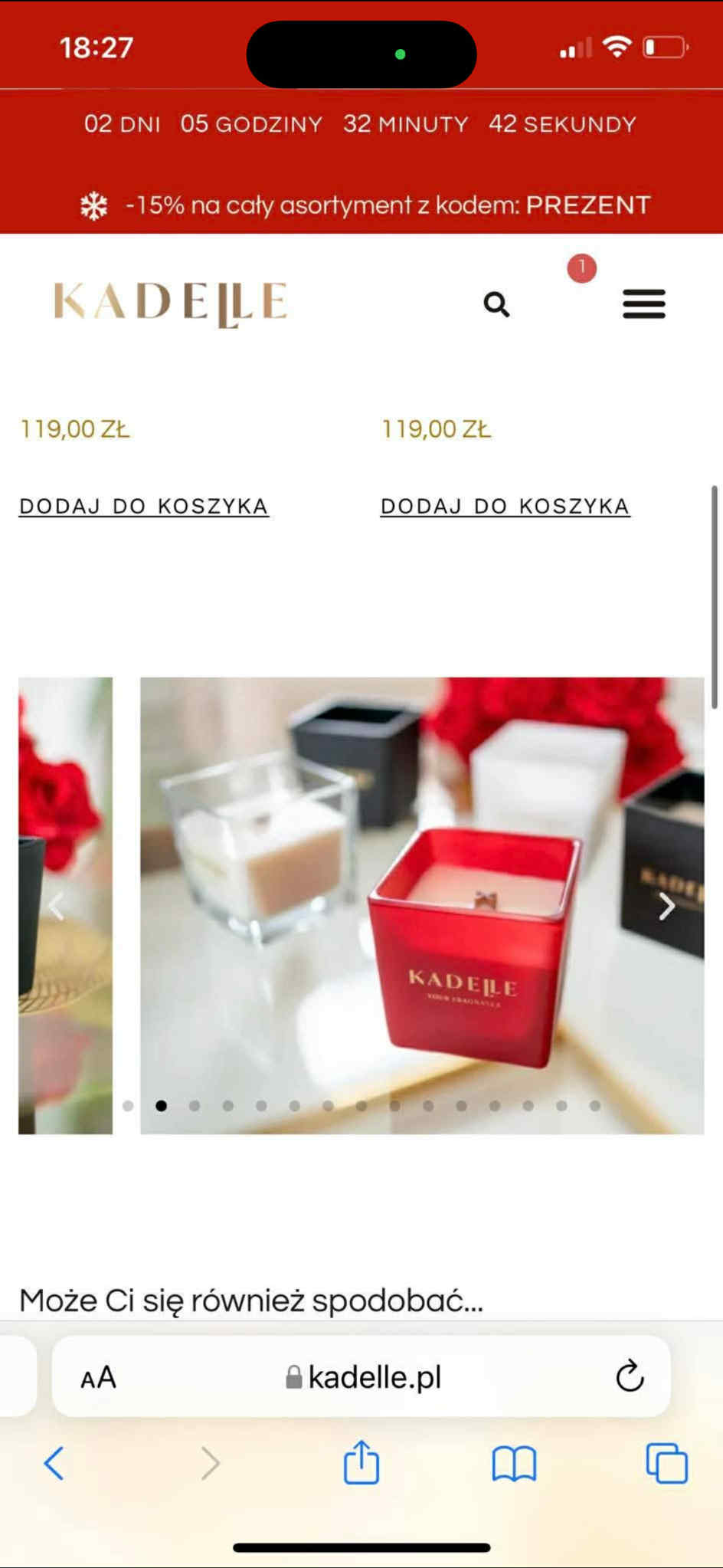 Portfolio item