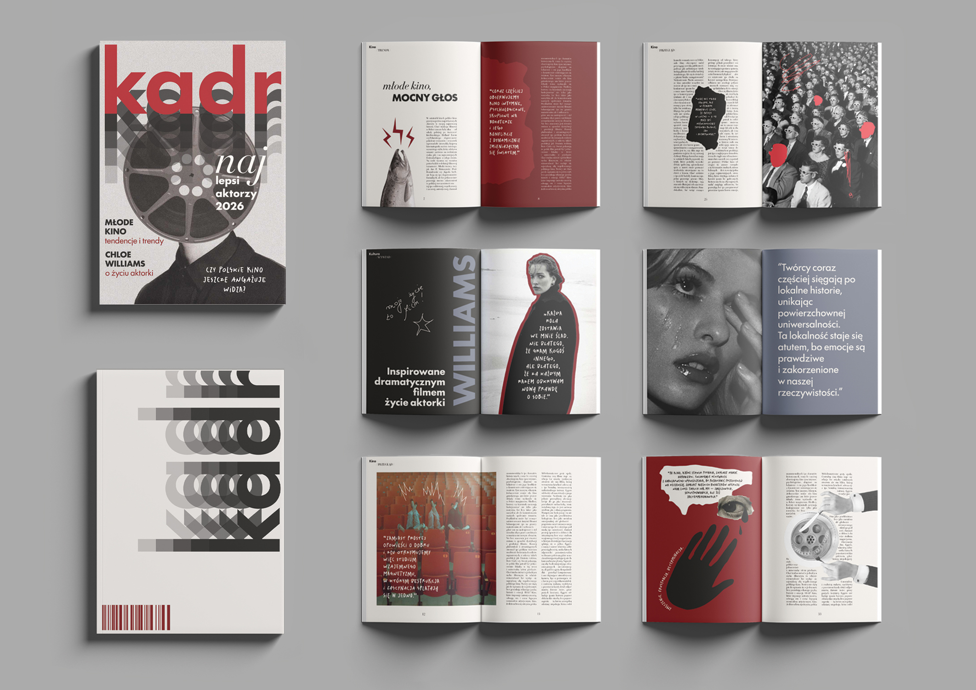 Portfolio item