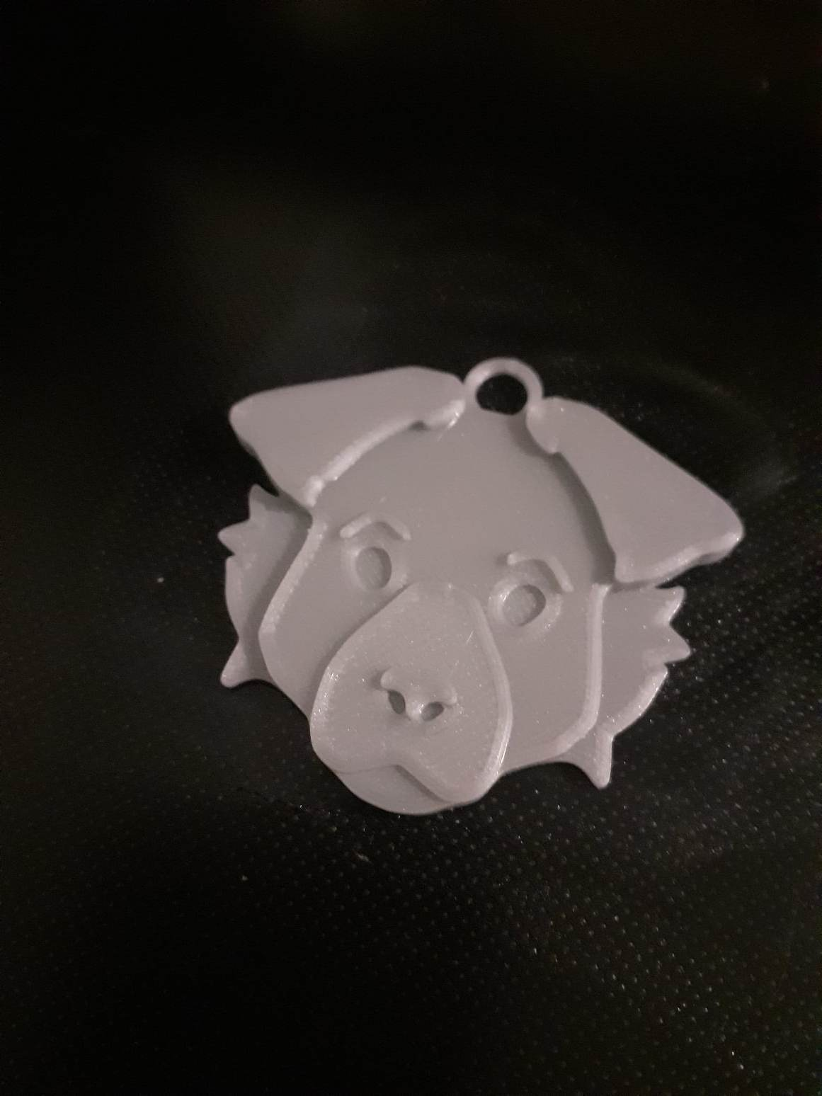 Portfolio item