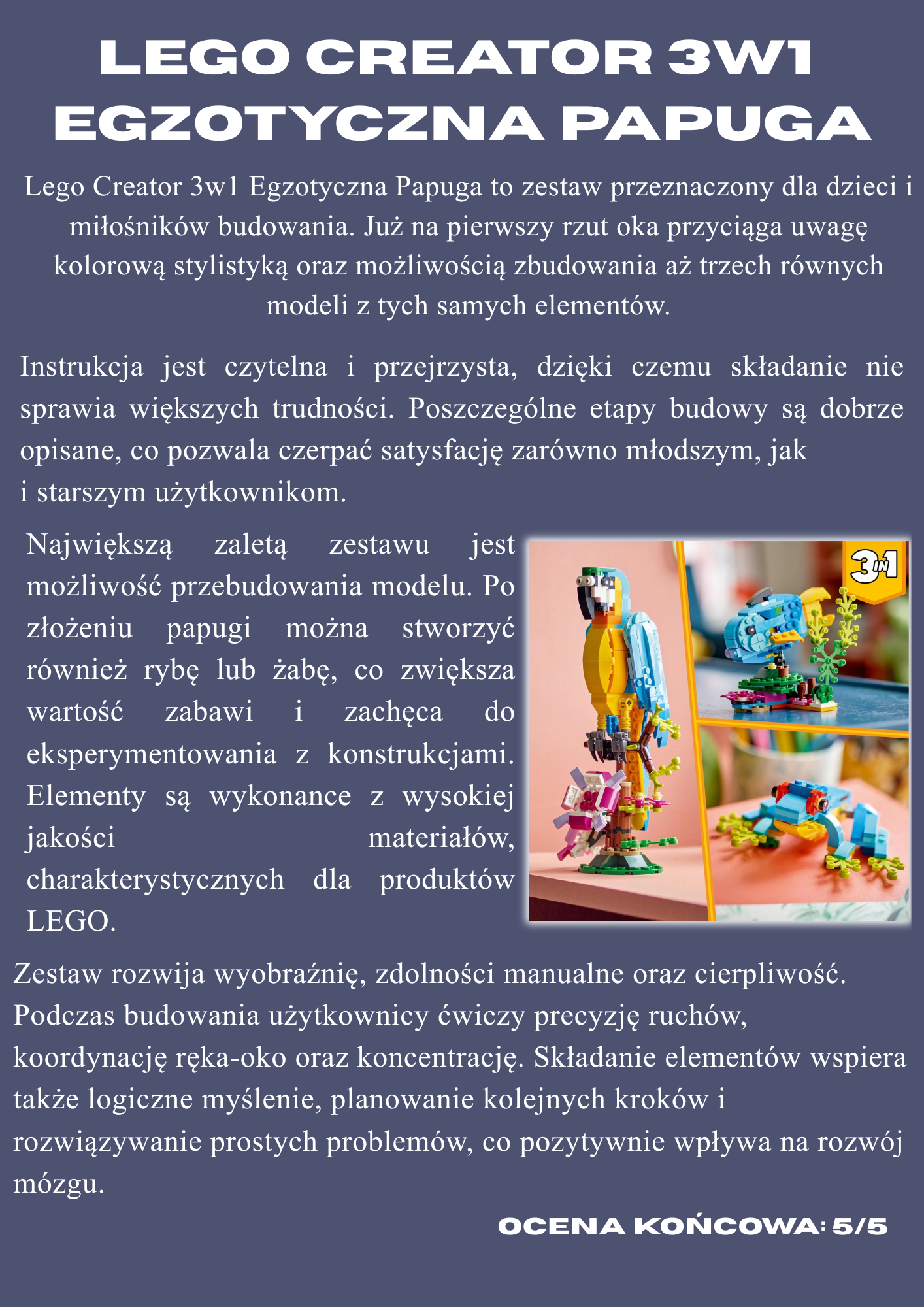 Portfolio item