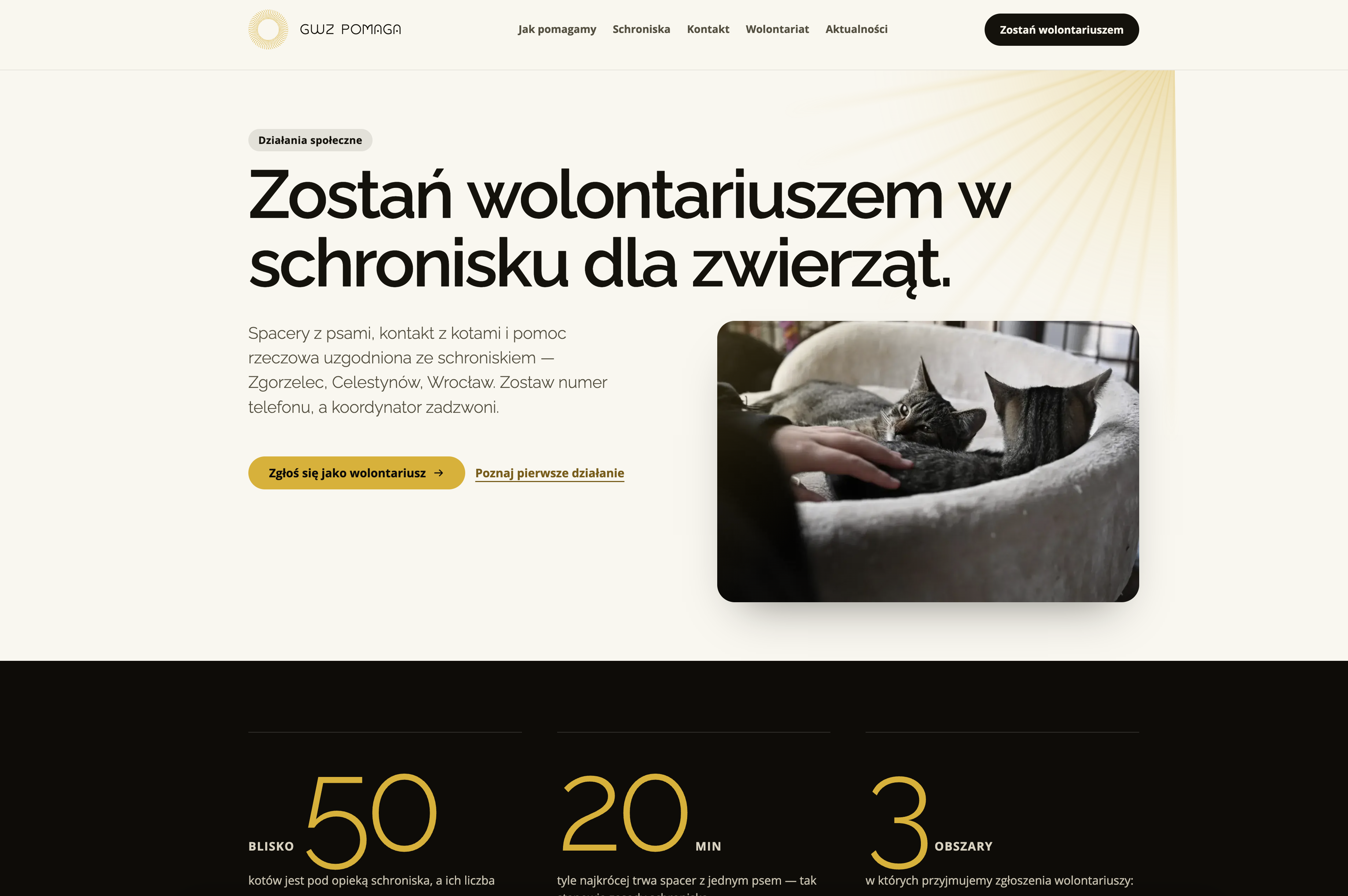Portfolio item