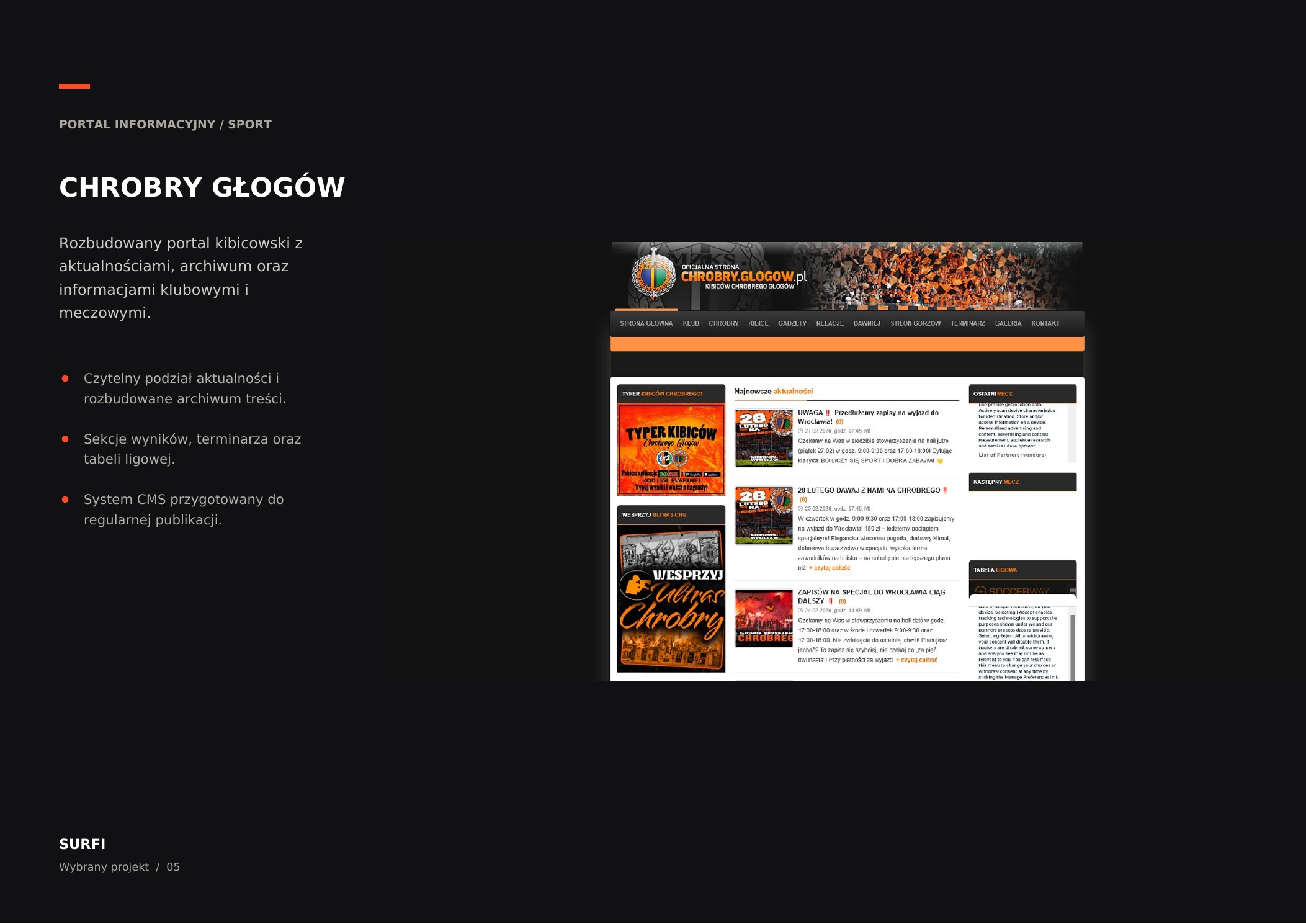 Portfolio item