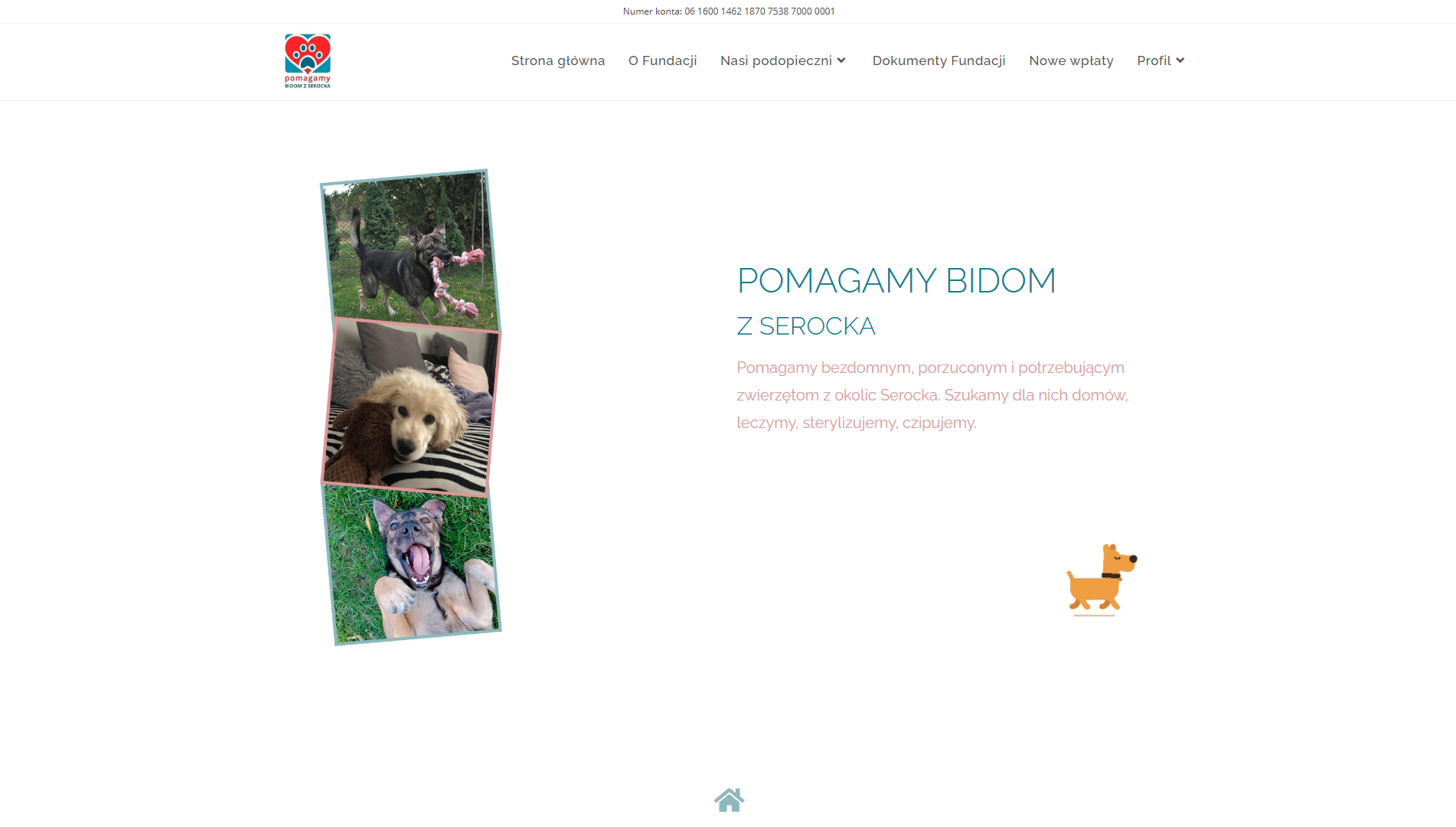 Portfolio item