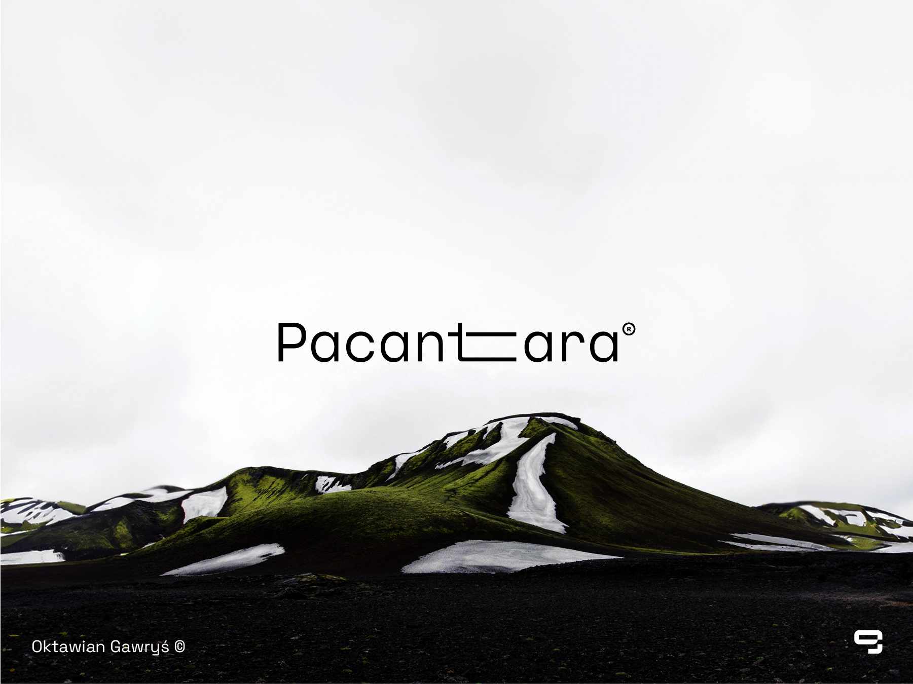 Portfolio item