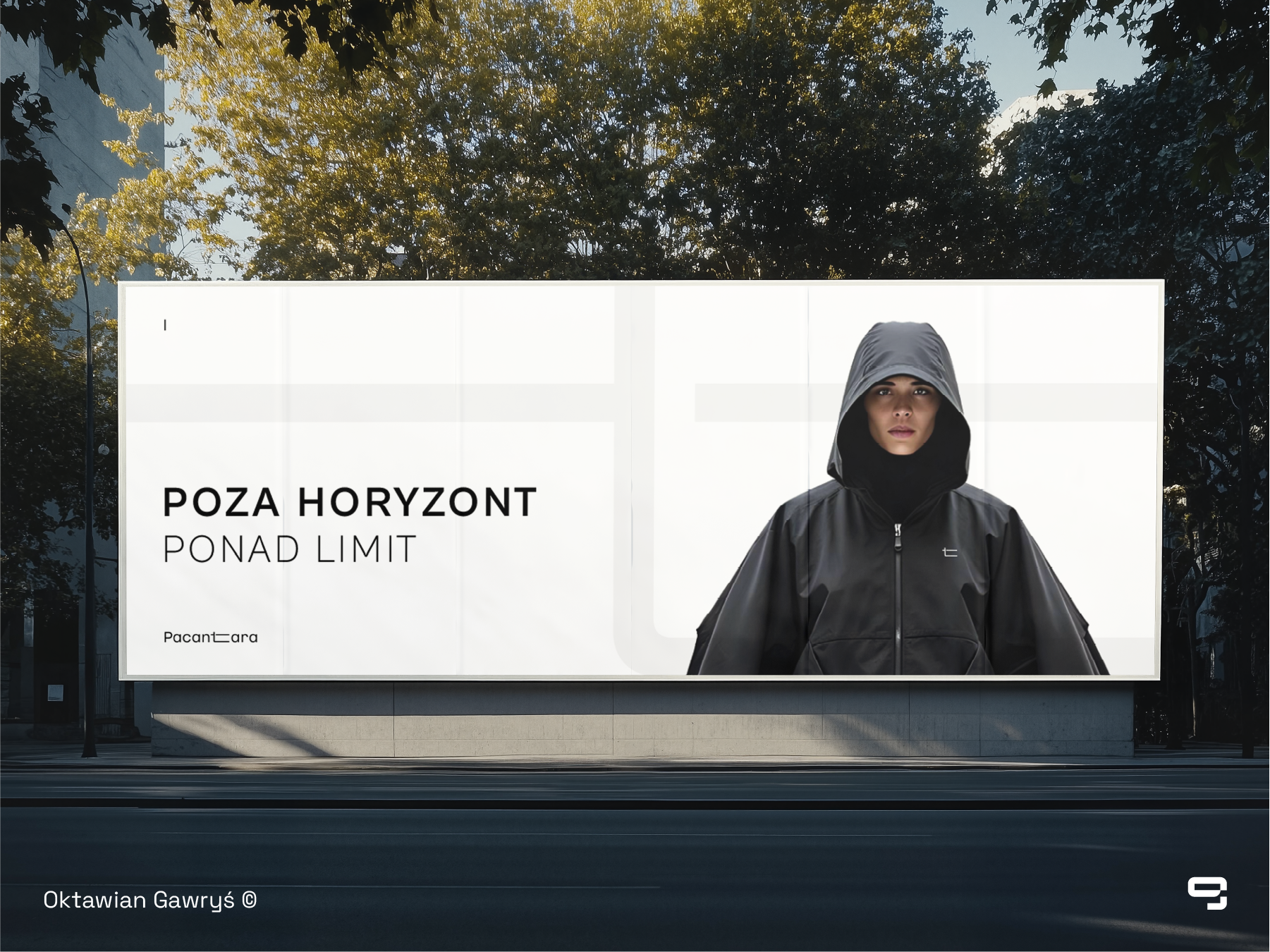 Portfolio item