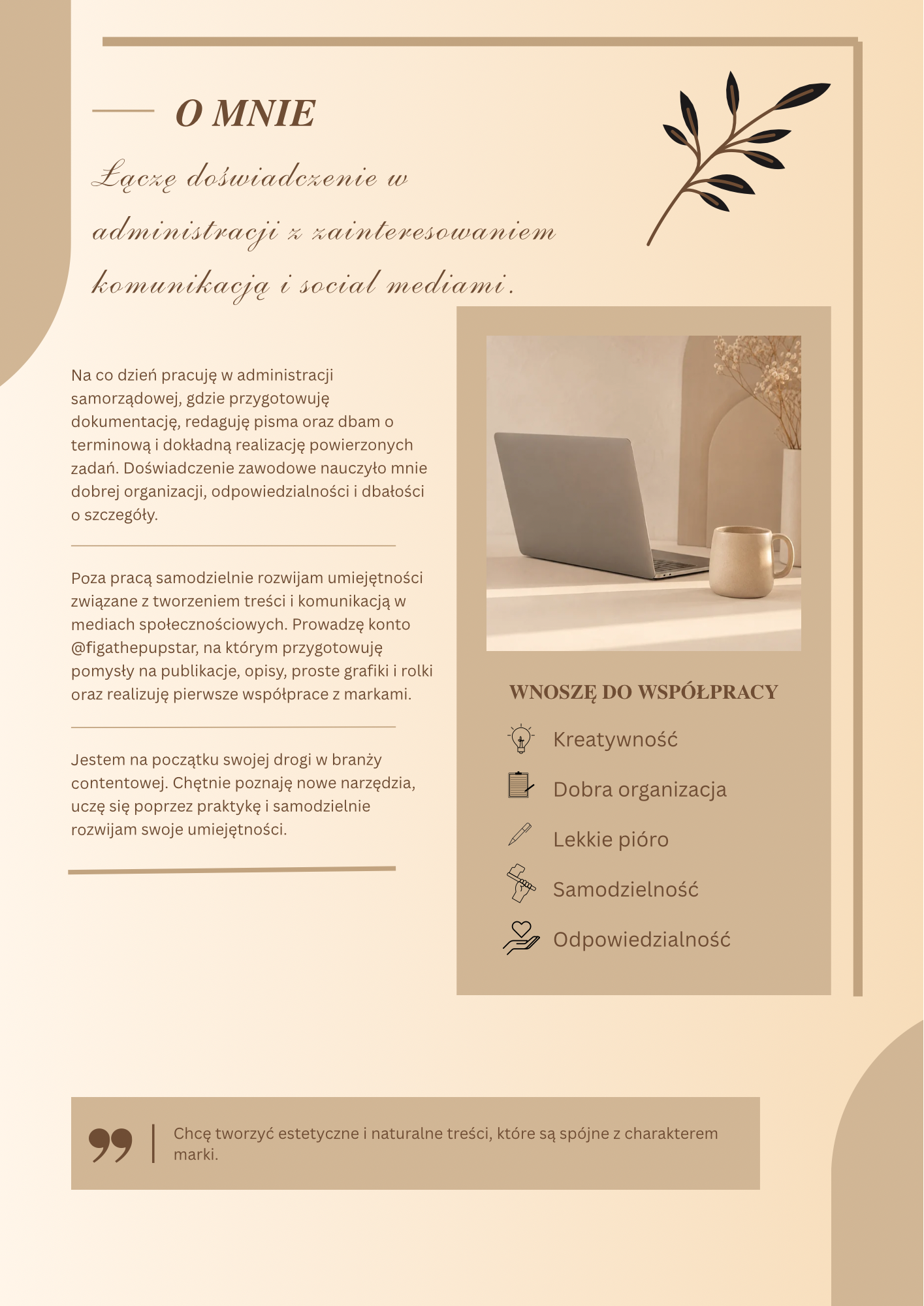 Portfolio item