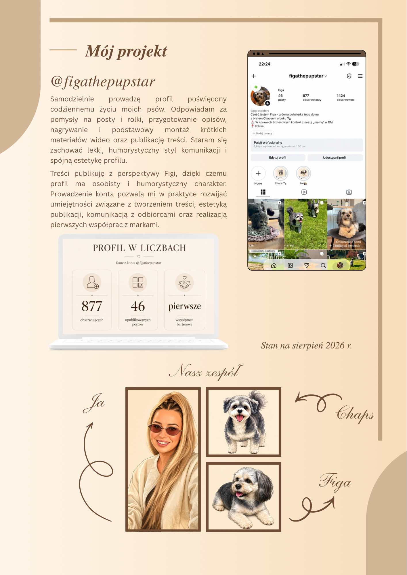 Portfolio item