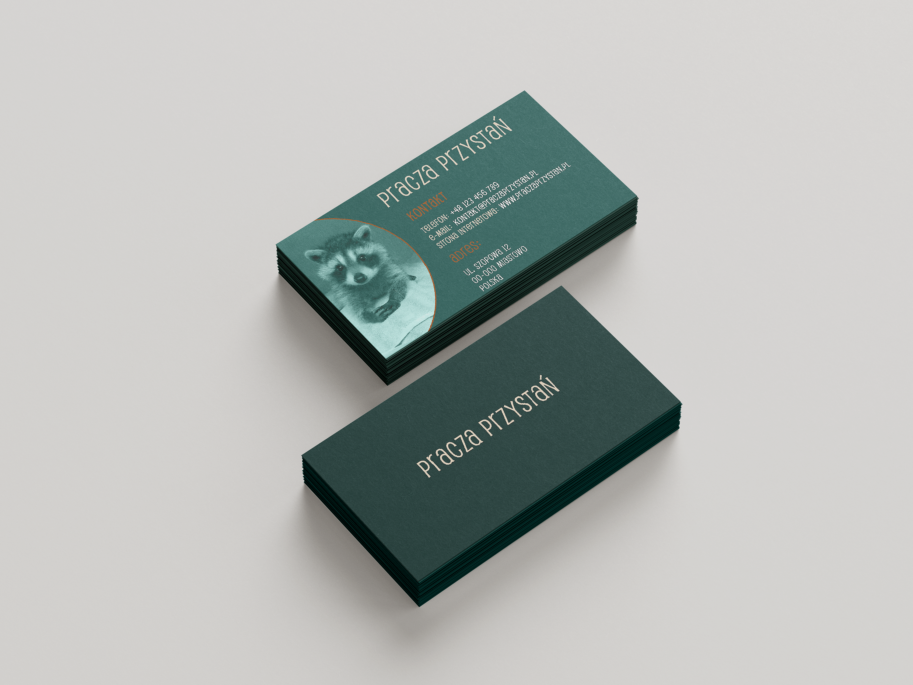 Portfolio item