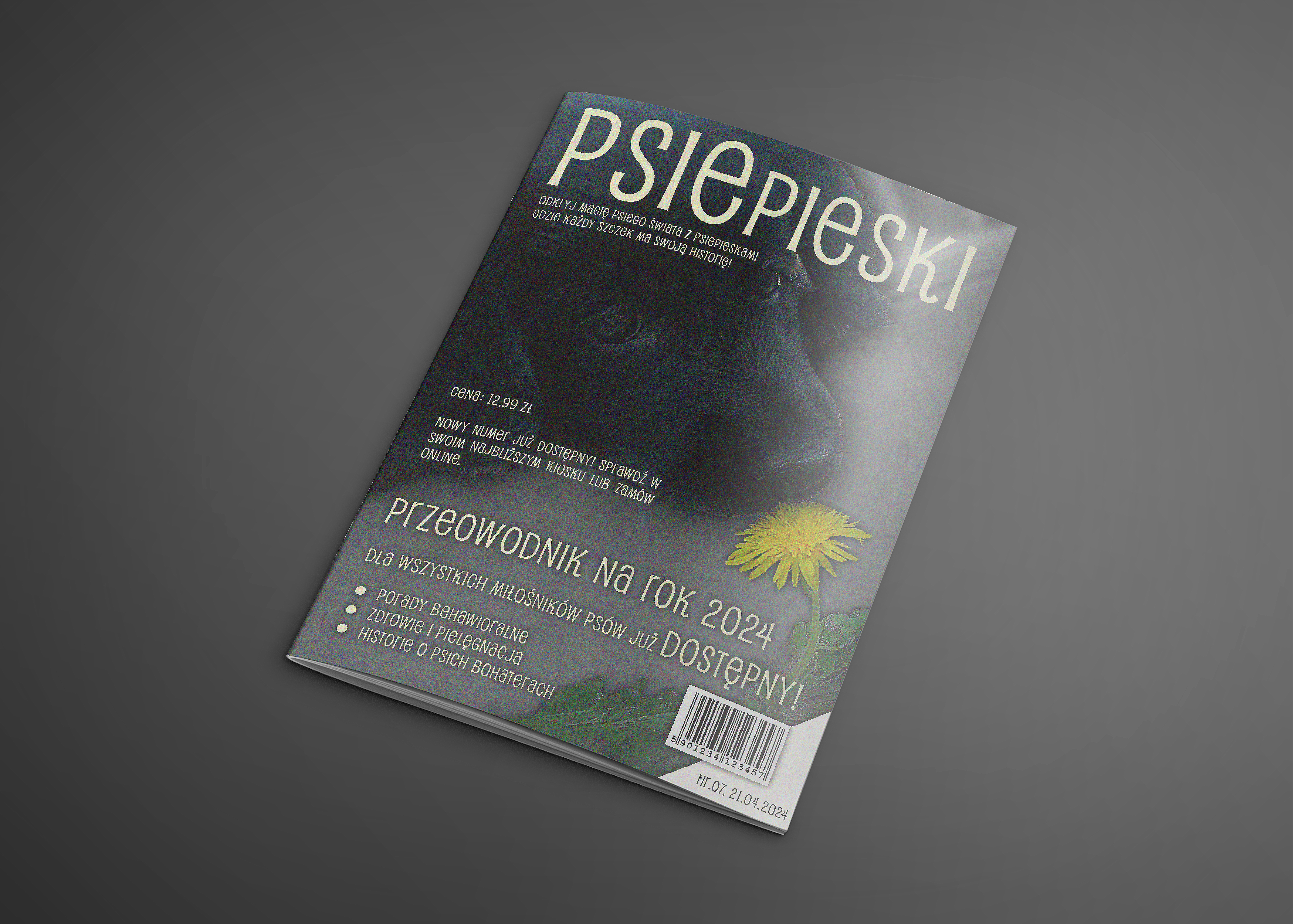 Portfolio item