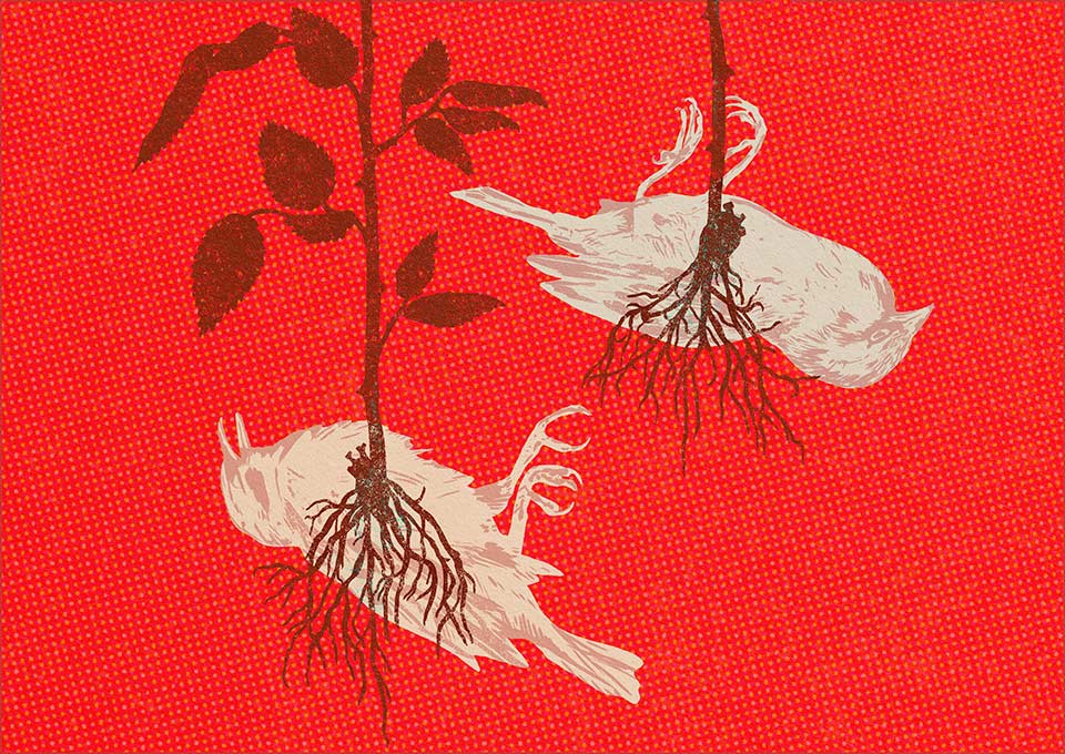 Portfolio item