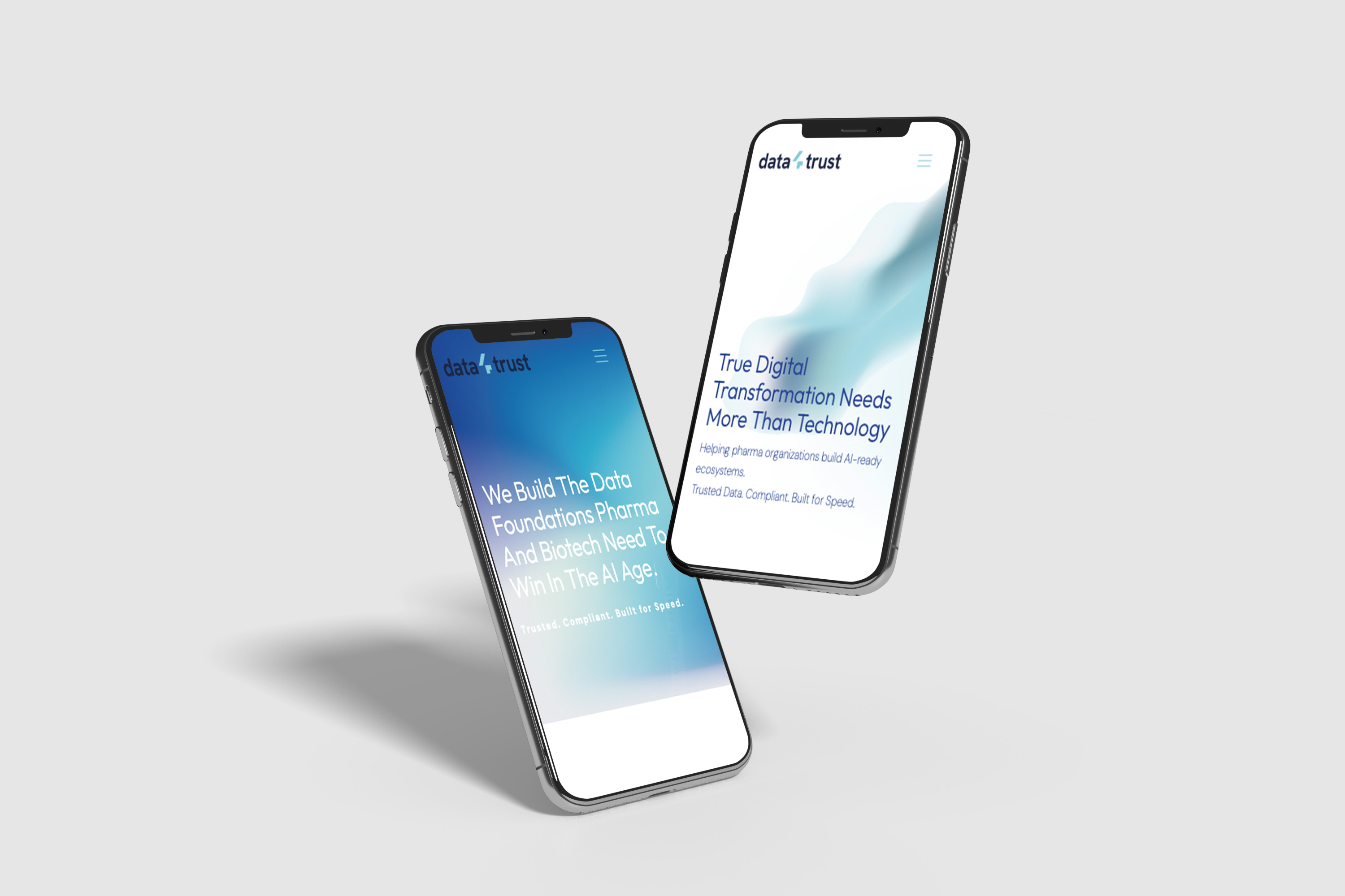 Portfolio item