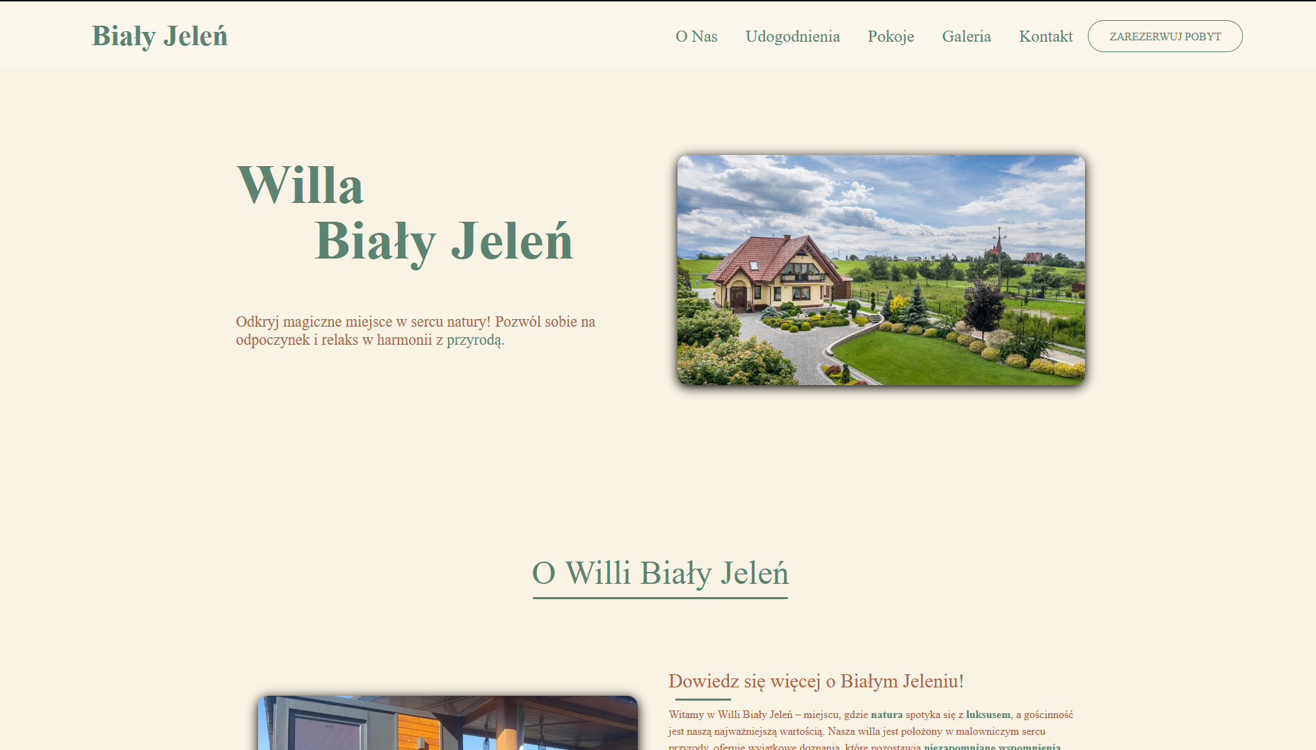 Portfolio item