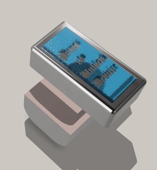 Portfolio item